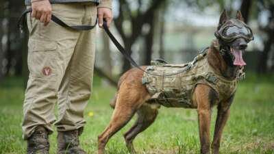 Türk Silahlı Kuvvetleri’nin (TSK) operasyonel