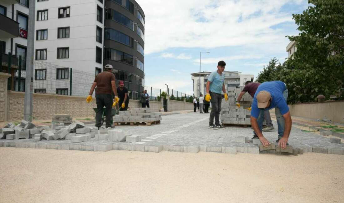 Yenişehir Belediyesi, hem kırsal