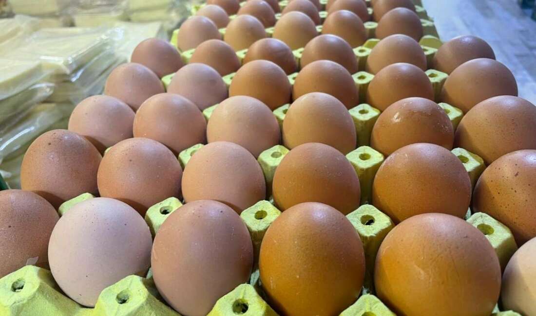Yumurta Üreticileri Ürünleri Sanayicileri