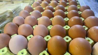 Yumurta kabuğu deyip geçmeyin sanayide çok değerli