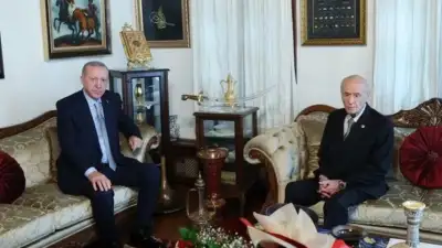 Cumhurbaşkanı Erdoğan, MHP Lideri Bahçeli ile görüştü