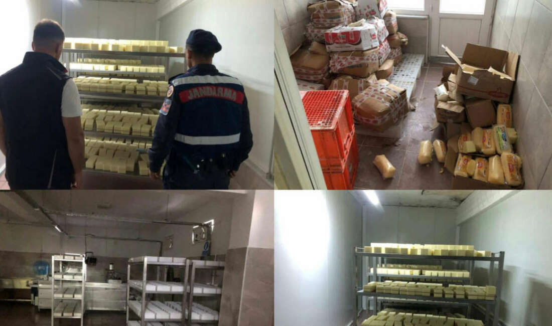 Sakarya’nın Pamukova ilçesinde merdiven