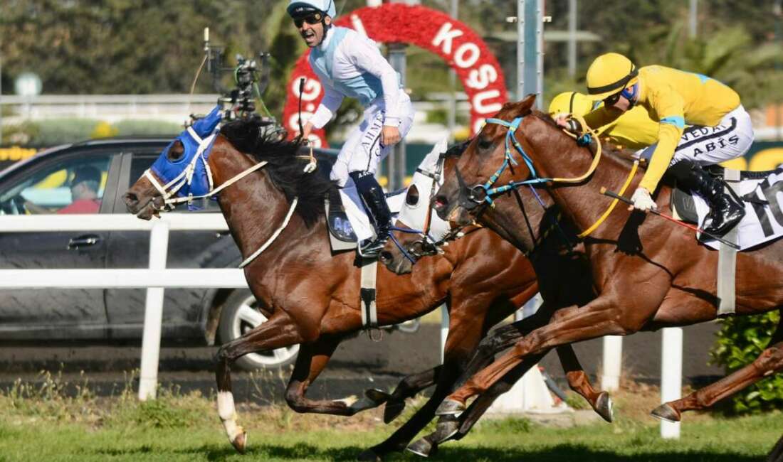 Bu yıl 99'su düzenlenen