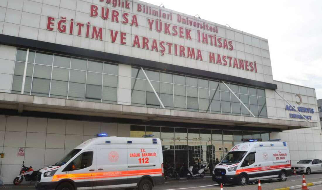 Hayvan dışkılarında bulunan parazitler
