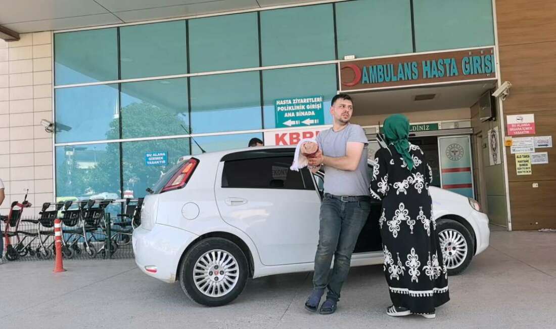İnegöl’de Kurban Bayramı: Acemi Kasaplar Acil Servislik Oldu Bursa'nın İnegöl ilçesinde kurban