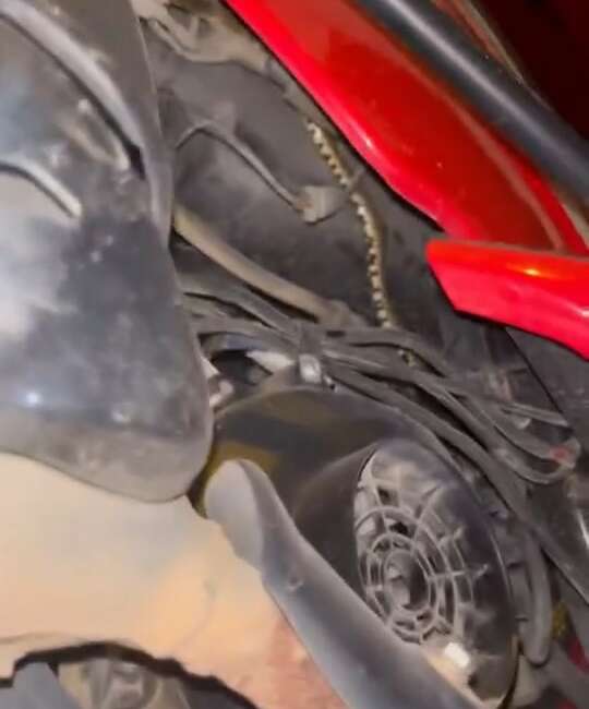 Motosikletin içine giren yılanı tek hamlede çıkardı Bursa’nın İznik ilçesi sahilinde