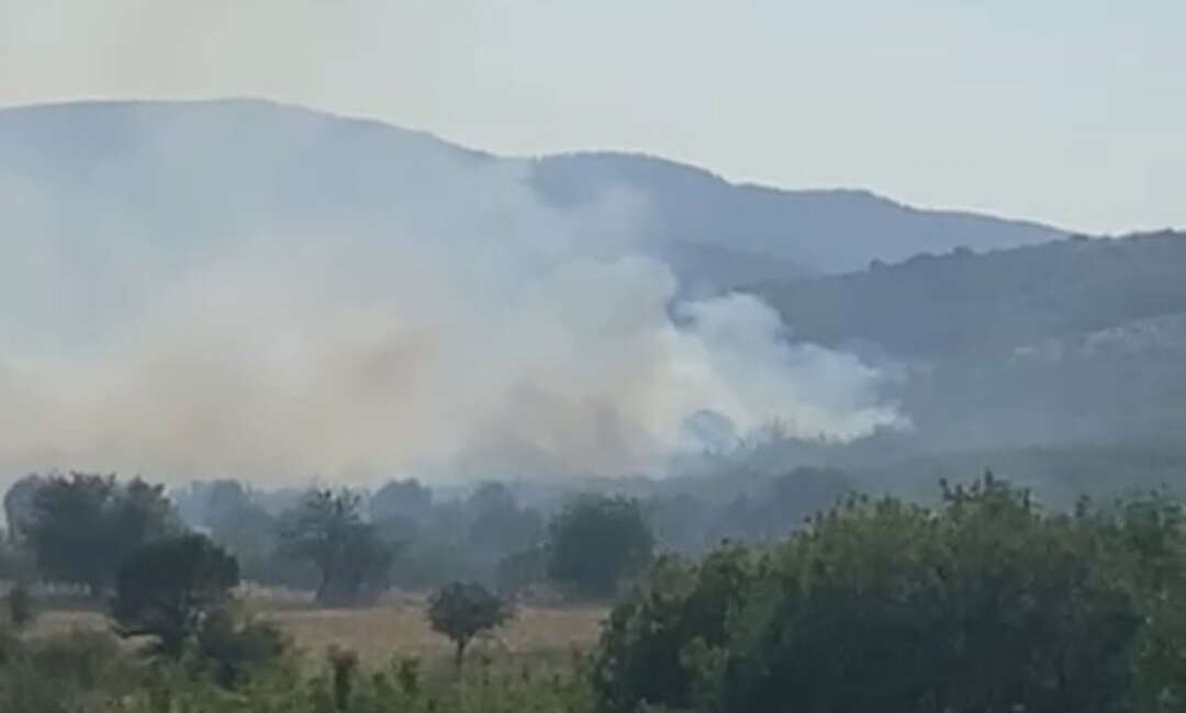 Balıkesir’de meralık alanda yangın Balıkesir'in Sındırgı ilçesinde meralık