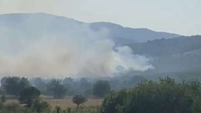 Balıkesir'in Sındırgı ilçesinde meralık alanda