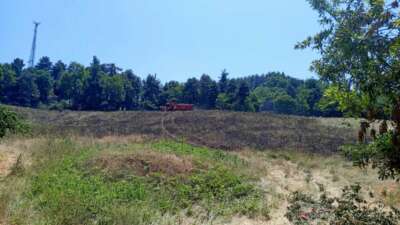 Nilüfer ilçesi Dağyenice Mahallesi'nde anız