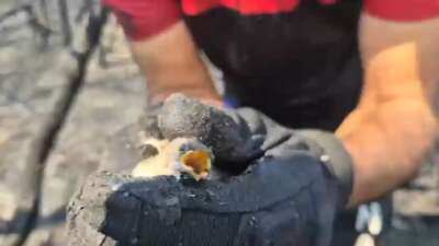 Bursa’da Yenişehir ilçesinde çıkan yangında