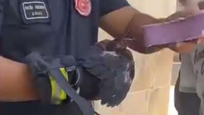 ursa'nın Yıldırım ilçesinde yaşanan olay