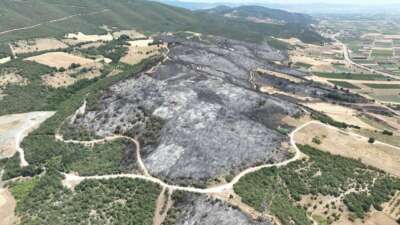 Bursa’daki yangınlarda 65 hektar küle döndü