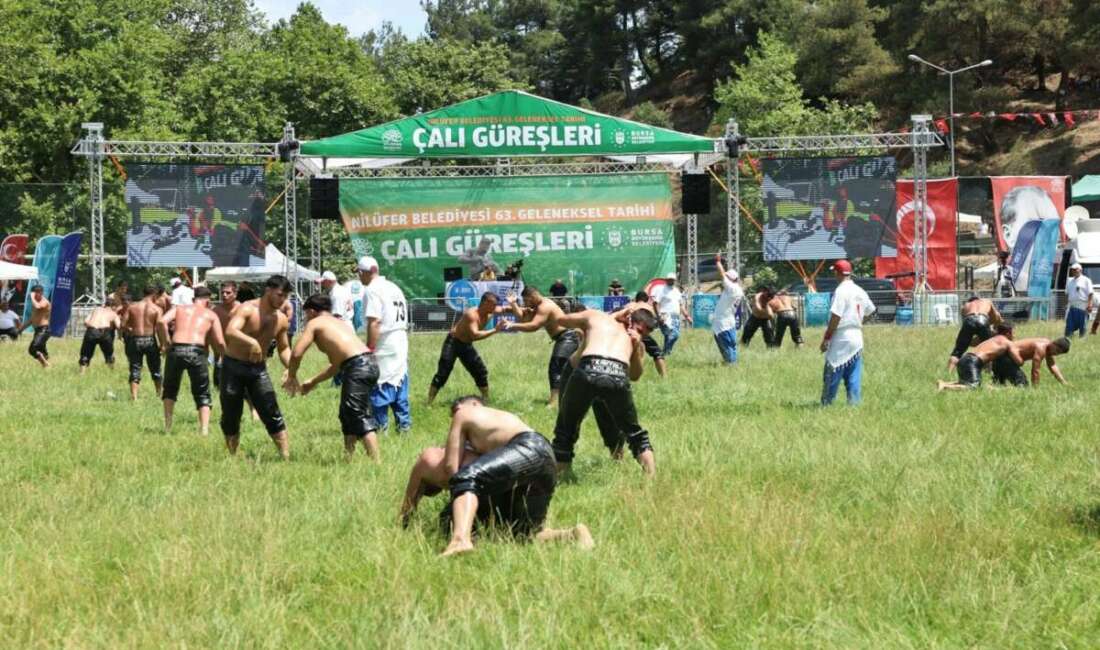 Nilüfer Belediyesi ve Bursa Büyükşehir Belediyesi