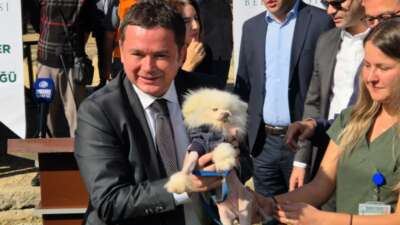 Başkan Aydın acımasız olabilir mi?