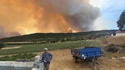 Sakarya'nın Taraklı ilçesinde dün çıkan