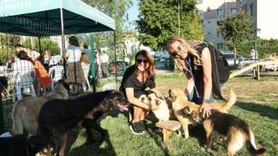 Bursa’da hayvanseverler sahiplendirme şenliğinde buluştu