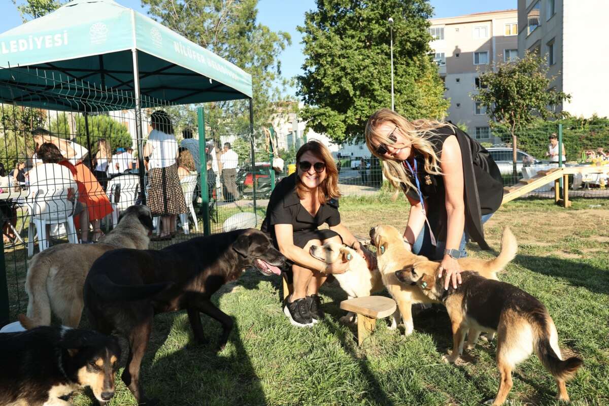 Bursa’da hayvanseverler sahiplendirme şenliğinde buluştu