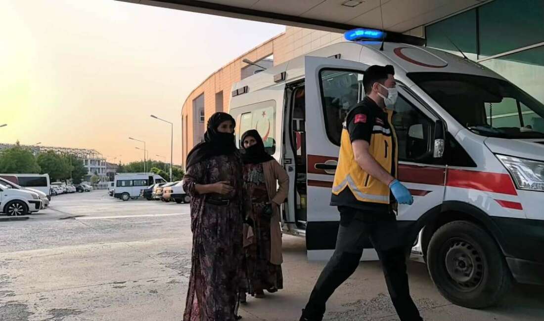 Bursa'nın Yenişehir ilçesinde bulunan