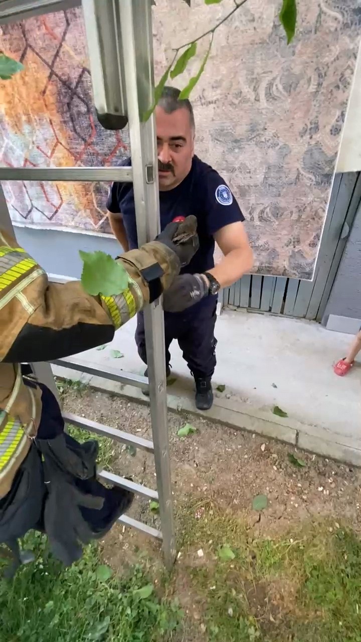  Çatıya sıkışan kuş itfaiye tarafından kurtarıldı