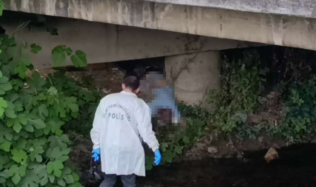 Bursa'nın İnegöl ilçesinde dere