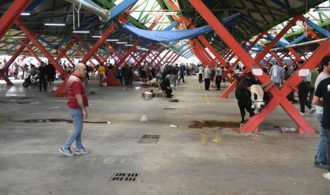 Osmangazili yurttaşlar, Osmangazi Belediyesi