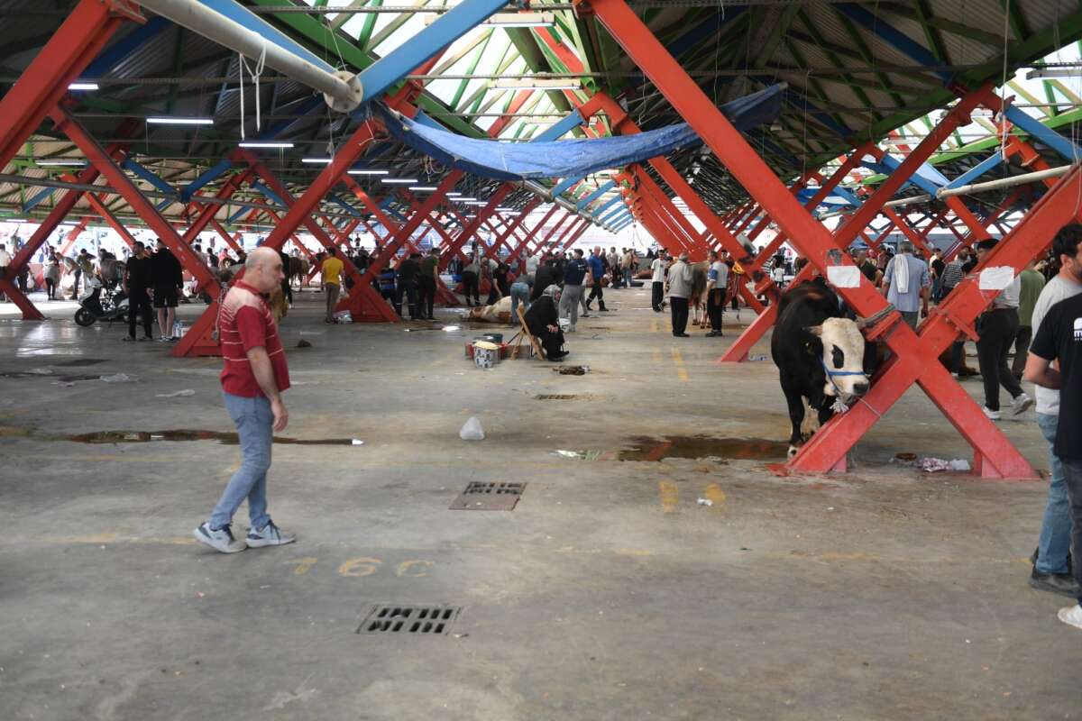 Osmangazi’de kurban ibadeti hijyen kurallarına uygun yapıldı