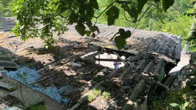 Kocaeli'nin İzmit ilçesinde ipini koparıp