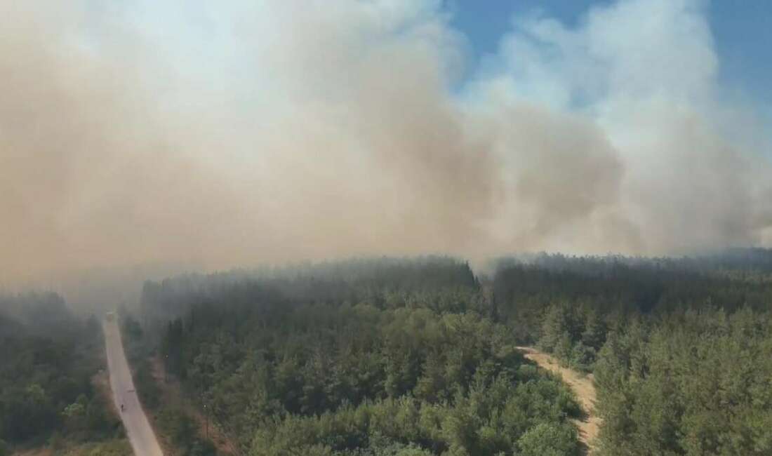 Karacabey Belediyesi, hava sıcaklıklarının
