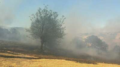 Kestel’deki orman yangını
