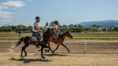 Rahvan atları şampiyonluk için koştu