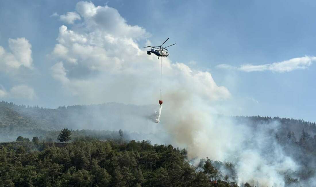 Sakarya’nın Taraklı ilçesinde ormanlık