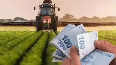 Tarım destekleri bugün hesaplara geçiyor