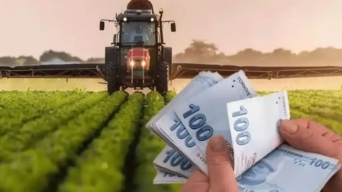 Tarım destekleri bugün hesaplara geçiyor