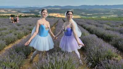 Tekirdağ’da mor tarlada şenlik