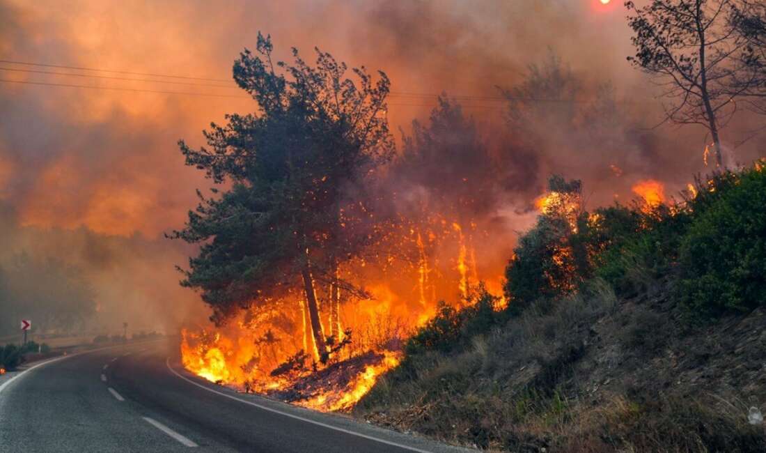 Hava sıcaklıklarının artmasıyla birlikte