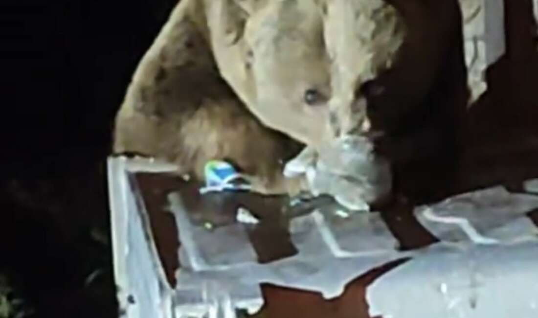 Türkiye'nin en önemli turizm