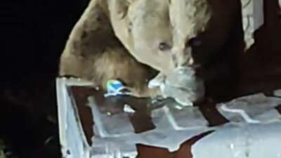 Türkiye'nin en önemli turizm merkezlerinden