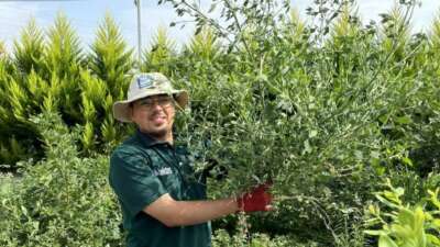Bursa’nın Orhangazi ilçesine bağlı Yeniköy