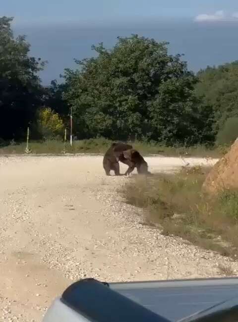 Bursa'nın Gemlik ilçesinde yolun
