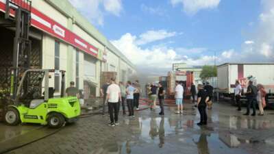 Bursa’nın Orhangazi ilçesindeki Orhangazi Zeytin