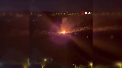Bursa'nın Mudanya ilçesindeki zeytin