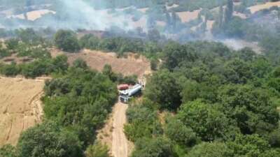  Bursa'nın İnegöl ilçesinde çıkan orman