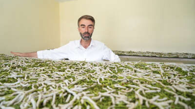 “Böcekle mi uğraşacaksın” sözlerine aldırmadı, binlerce lira kazandı