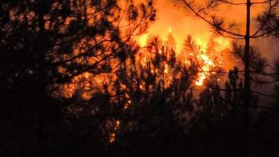 Başkan Bozbey: Yangının yönü belli değil, daha fazla hava desteği gerekli