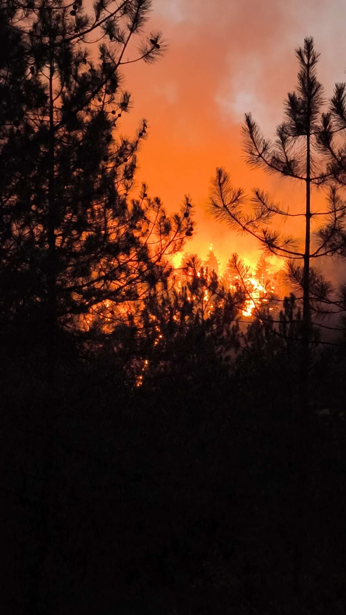 Başkan Bozbey: Yangının yönü belli değil, daha fazla hava desteği gerekli