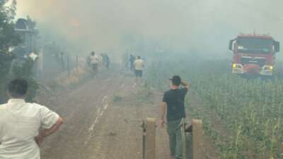 Bilecik'te öğleden sonra başlayan orman