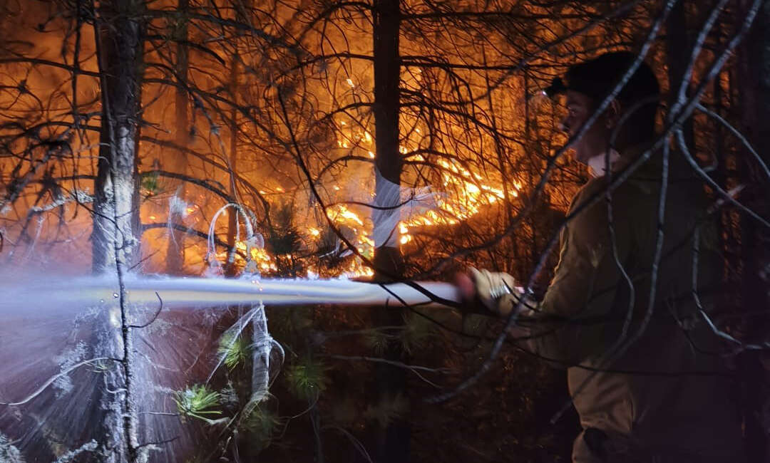 Balıkesir'in Sındırgı ilçesinde çıkan