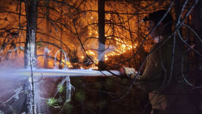 Balıkesir'in Sındırgı ilçesinde çıkan orman