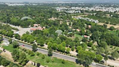 Bursa Hayvanat Bahçesi’nde zebra ailesi genişliyor