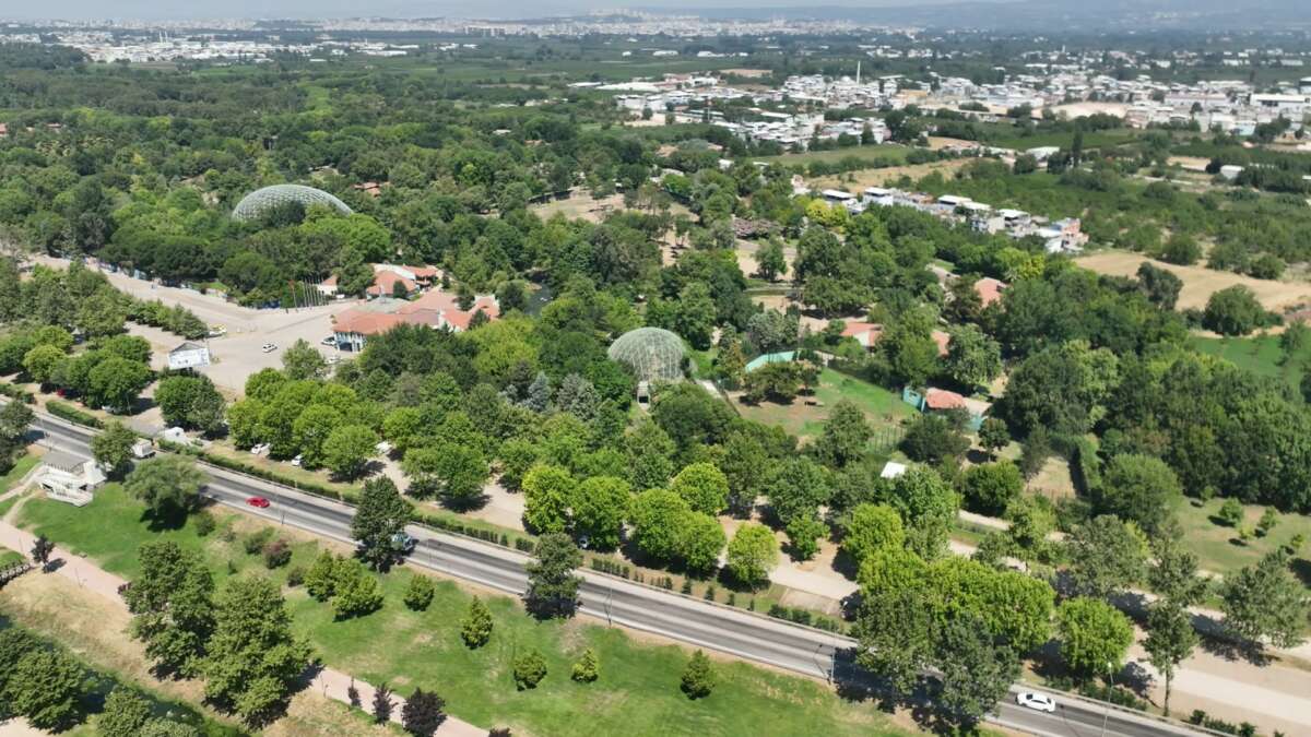 Bursa Hayvanat Bahçesi’nde zebra ailesi genişliyor